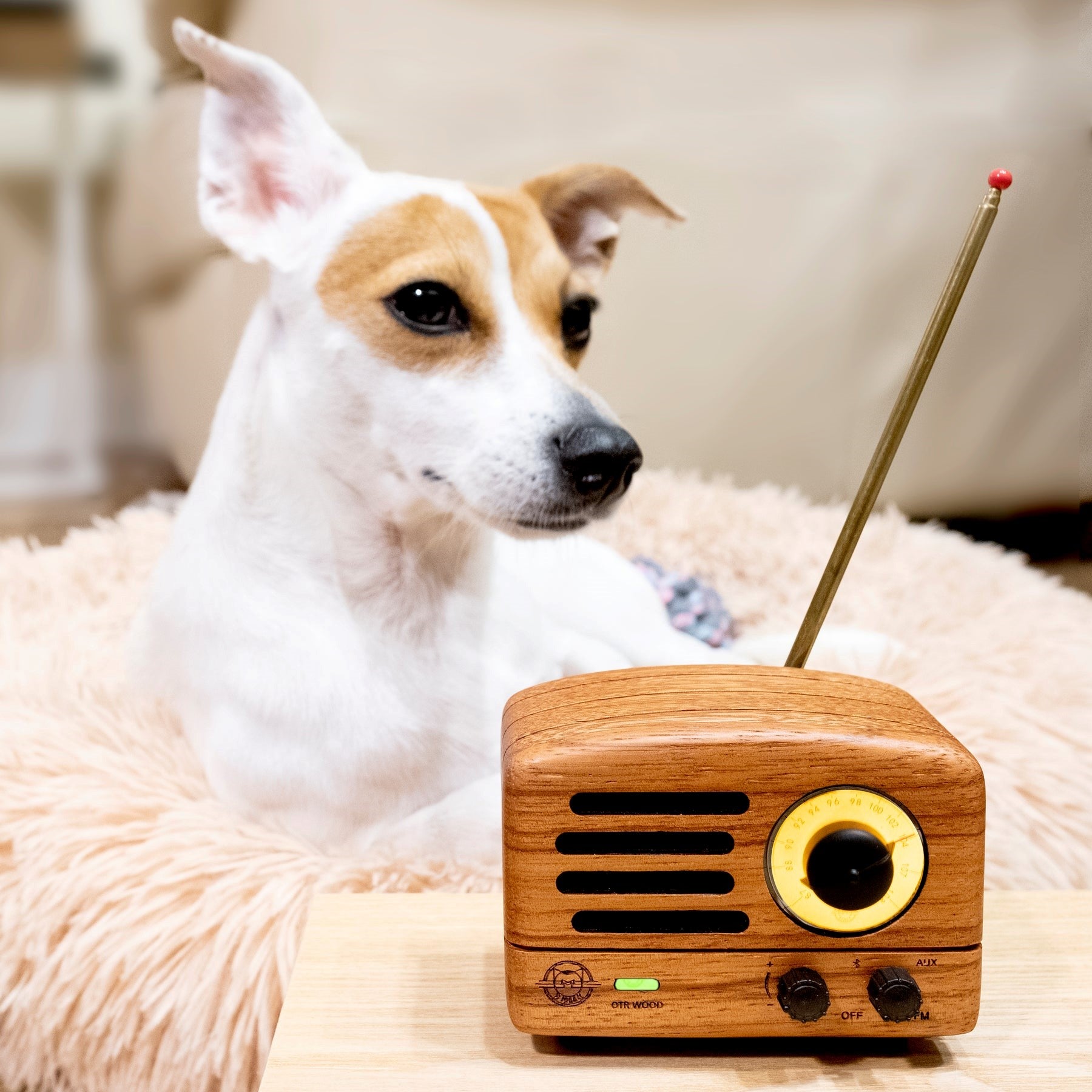 The Rise of Retro Bluetooth Speakers: Why Vintage-Inspired Tech is Making a Comeback