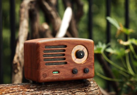buy original 2 radio speaker