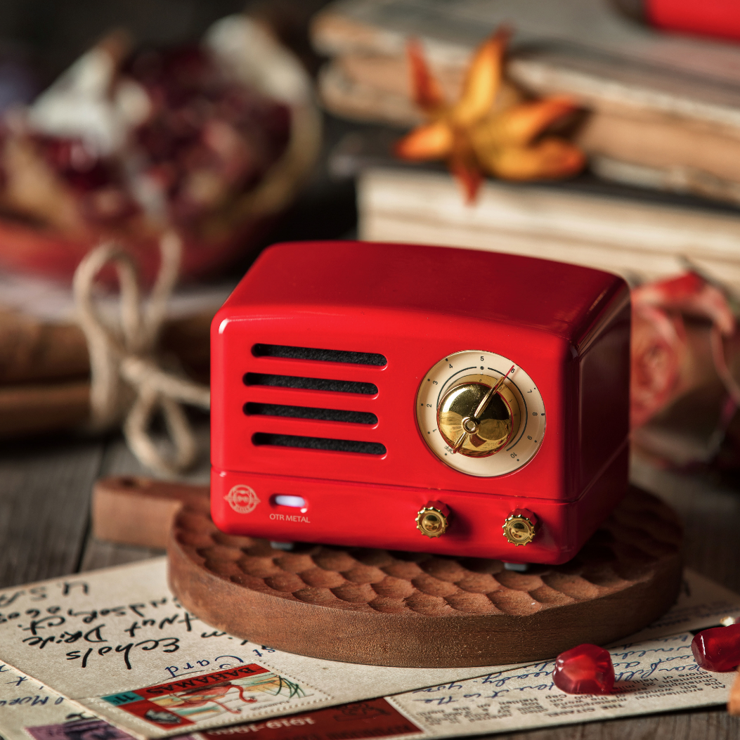 The Definitive Guide Can you Bring a Speaker on a Plane？ Muzen Audio