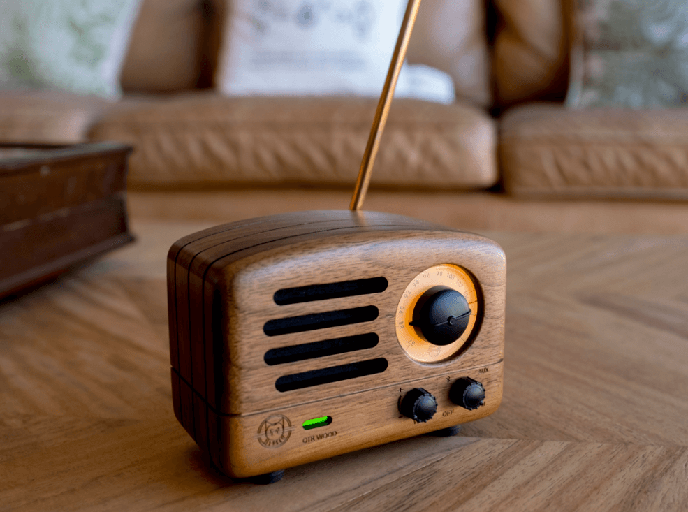 MUZEN OTR wood radio